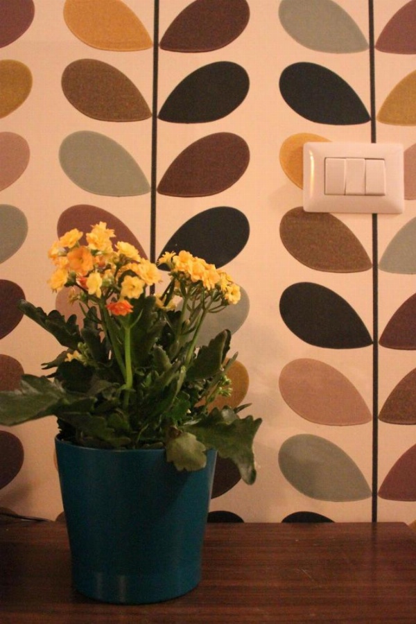 Il rifugio di Flo image 8